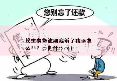 惠民贷逾期被起诉严重吗？法律后果与应对指南