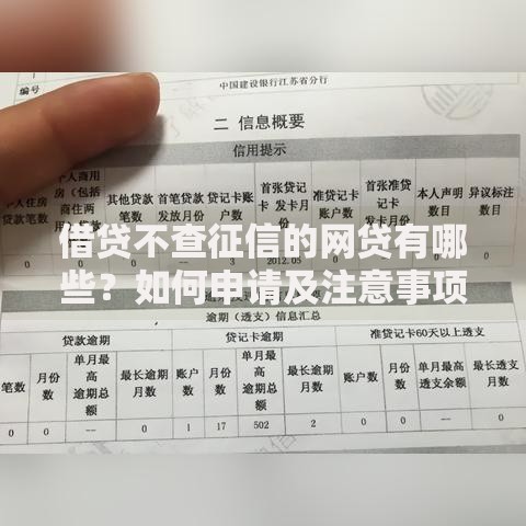 借贷不查征信的网贷有哪些？如何申请及注意事项解析