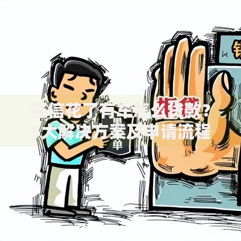 征信花了有车怎么贷款？5大解决方案及申请流程详解