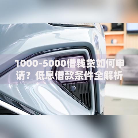 1000-5000借钱贷如何申请？低息借款条件全解析