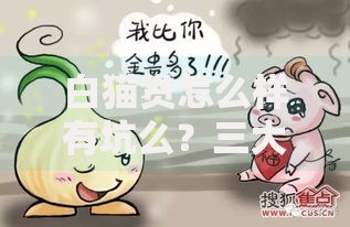 白猫贷怎么样有坑么？三大风险需警惕