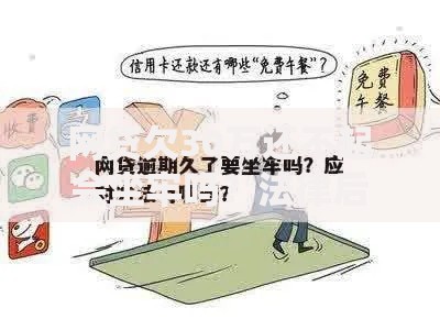网贷欠30万还不起会坐牢吗？法律后果与应对方案解析