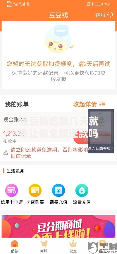 豆豆钱逾期几天就会让你全额还款吗？政策解析