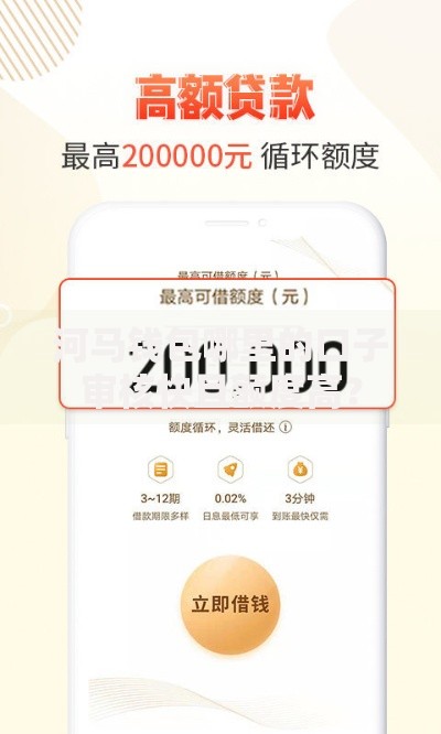 河马钱包哪里的口子审核快且额度高？