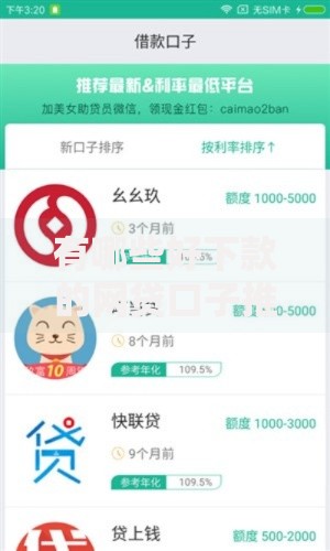 有哪些好下款的网贷口子推荐及申请攻略