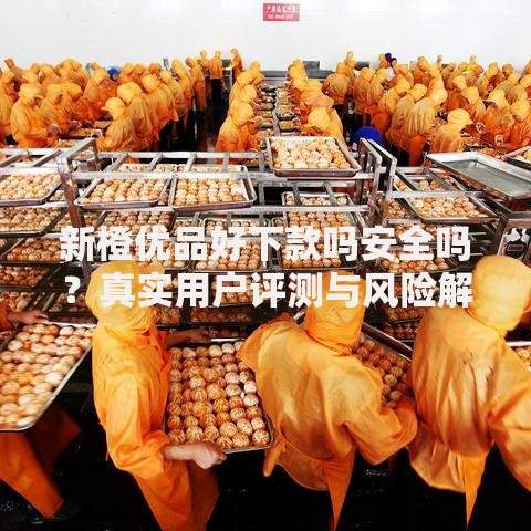 新橙优品好下款吗安全吗？真实用户评测与风险解析