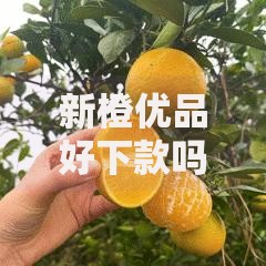 新橙优品好下款吗安全吗？真实用户评测与风险解析