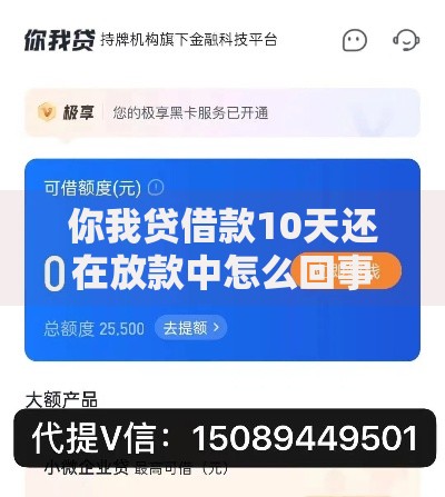 你我贷借款10天还在放款中怎么回事？深度解析放款流程