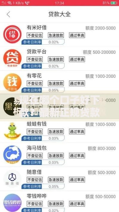 现在哪个口子好下款？最新正规贷款渠道深度解析