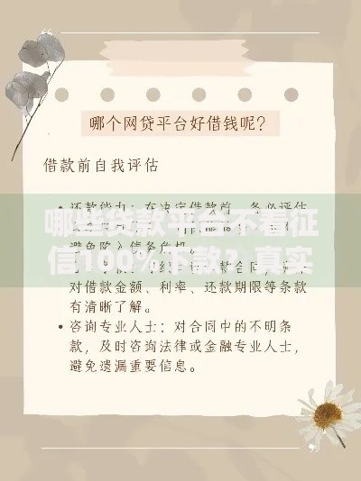 哪些贷款平台不看征信100%下款？真实渠道风险解析
