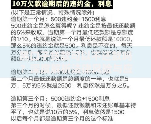 黑口子贷款可以不还款吗？深度解析法律风险与应对策略