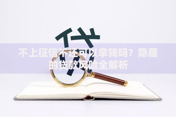 不上征信不还可以拿钱吗？隐藏的贷款风险全解析