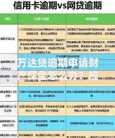 万达贷逾期申请财产保全怎么办？应对策略与法律风险解析