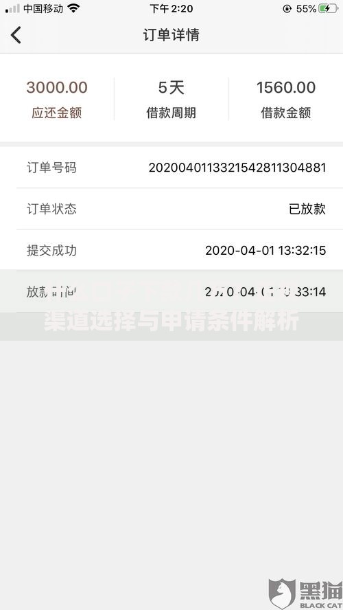 什么口子下款几万？正规渠道选择与申请条件解析