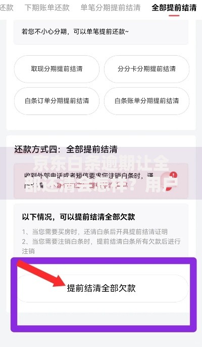 京东白条逾期让全部还清会怎样？用户必知应对策略