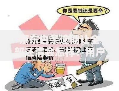 京东白条逾期让全部还清会怎样？用户必知应对策略