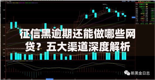 征信黑逾期还能做哪些网贷？五大渠道深度解析
