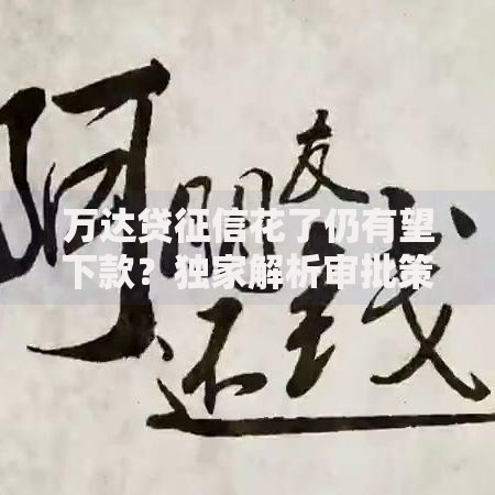 万达贷征信花了仍有望下款？独家解析审批策略与补救方案