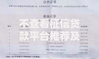 不查看征信贷款平台推荐及申请条件解析