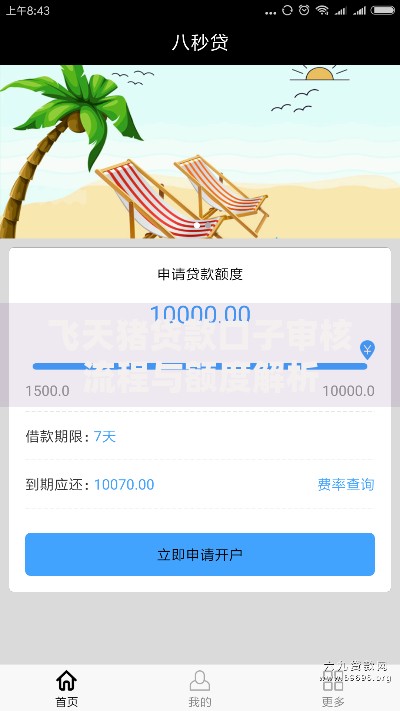 飞天猪贷款口子审核流程与额度解析