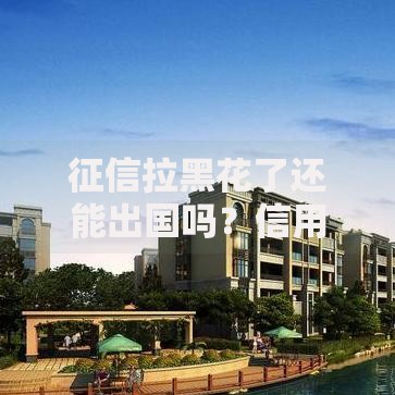 征信拉黑花了还能出国吗？信用不良出境全解析