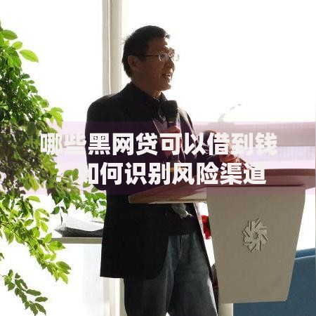 哪些黑网贷可以借到钱？如何识别风险渠道
