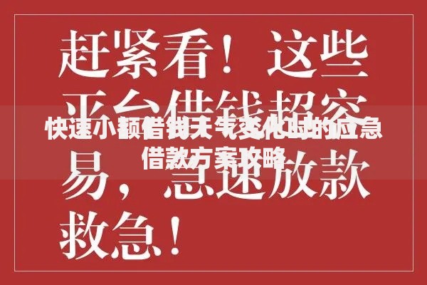 快速小额借钱天气变化时的应急借款方案攻略