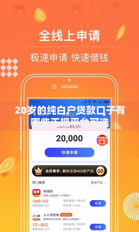 20岁的纯白户贷款口子有哪些正规平台可选