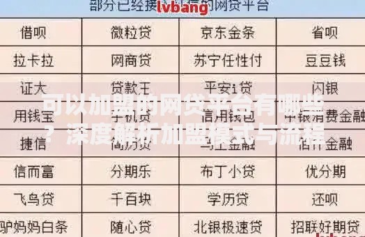 可以加盟的网贷平台有哪些？深度解析加盟模式与流程