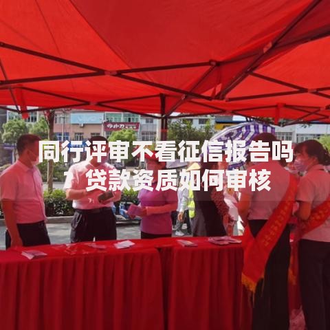 同行评审不看征信报告吗？贷款资质如何审核