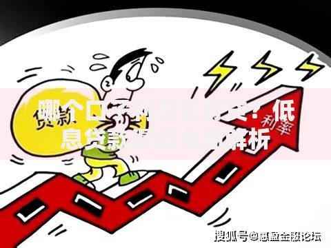 哪个口子利息低好贷？低息贷款渠道全面解析
