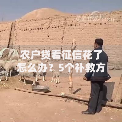 农户贷看征信花了怎么办？5个补救方法助你成功获贷