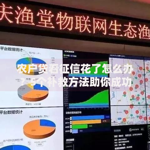农户贷看征信花了怎么办？5个补救方法助你成功获贷