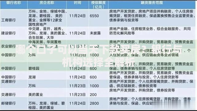 哪个口子可以当天下款买房？银行与机构选择全解析