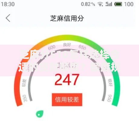 芝麻分510怎样选择合适的贷款额度？额度规划与申请技巧