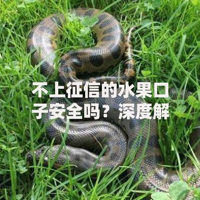 不上征信的水果口子安全吗？深度解析隐藏风险与申请指南