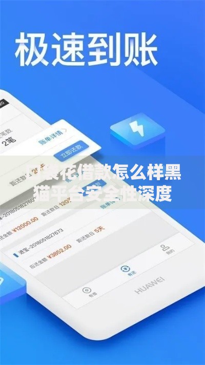 口袋花借款怎么样黑猫平台安全性深度解析