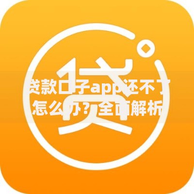 贷款口子app还不了怎么办？全面解析应对策略