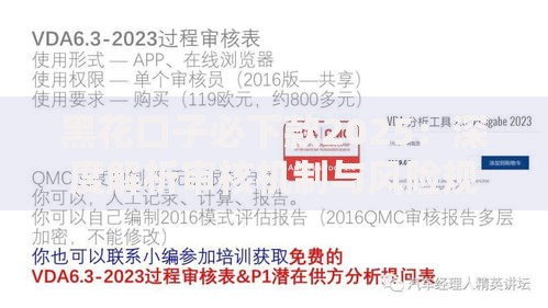 黑花口子必下款2025：深度解析审核机制与风险规避