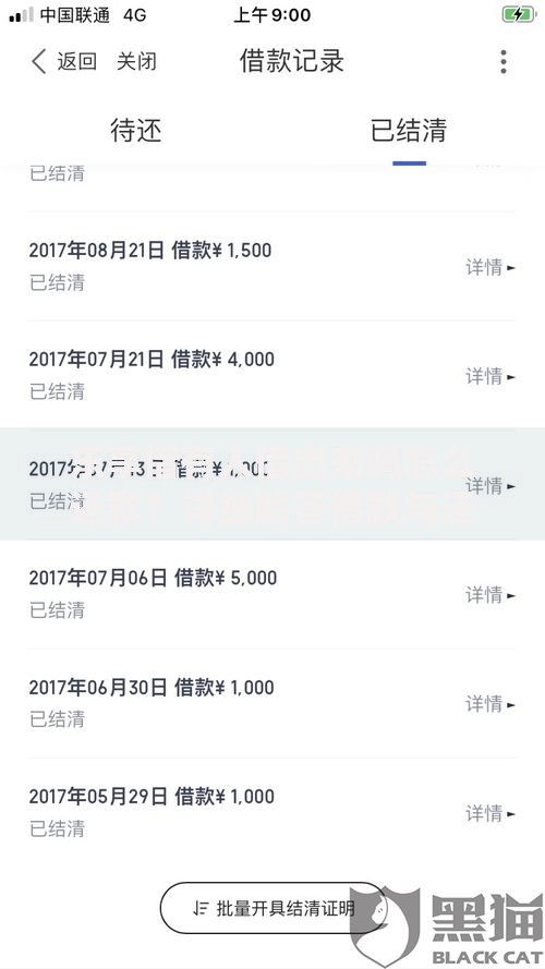 乐享借有人借出来吗怎么还款？详细解答借款与还款流程