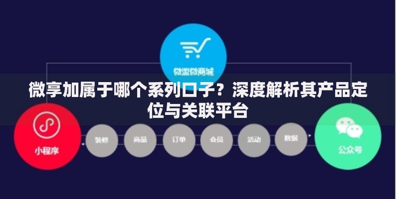 微享加属于哪个系列口子？深度解析其产品定位与关联平台