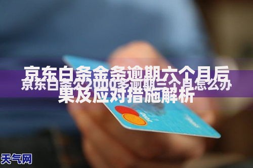 京东白条金条逾期六个月后果及应对措施解析