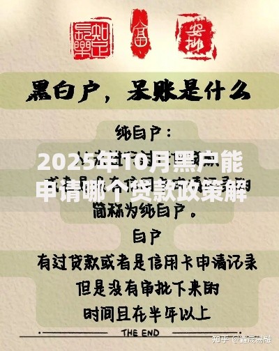 2025年10月黑户能申请哪个贷款政策解析