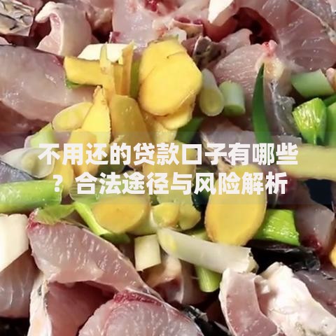 不用还的贷款口子有哪些?合法途径与风险解析 不用还的贷款口子有哪些?合法途径与风险解析