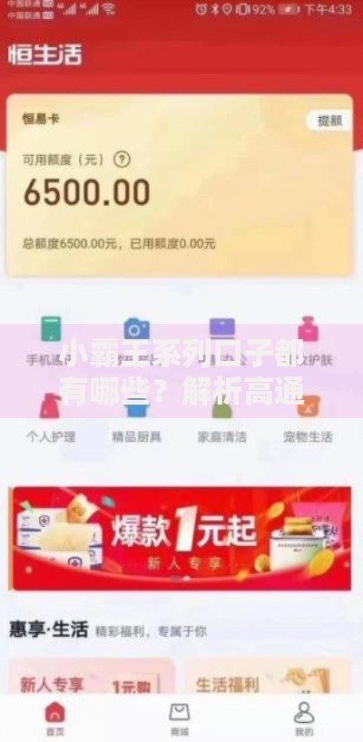 小霸王系列口子都有哪些？解析高通过率借款渠道