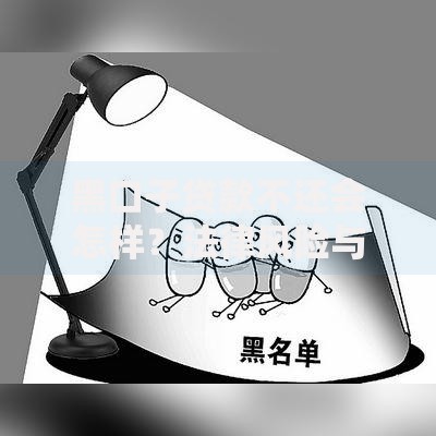 黑口子贷款不还会怎样？法律风险与后果深度解析