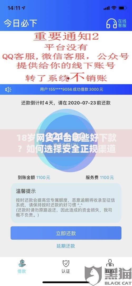 18岁网贷平台哪些好下款？如何选择安全正规渠道