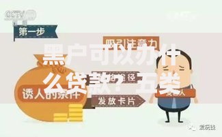 黑户可以办什么贷款？五类渠道深度解析