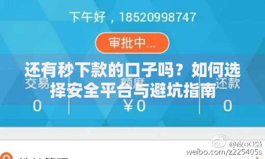 还有秒下款的口子吗？如何选择安全平台与避坑指南