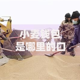 小麦钱包是哪里的口子？全面解析平台背景与风险
